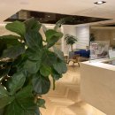 미즈여성산부인과의원 이미지