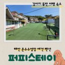 퍼피스테이 온수수영장 애견펜션 | 태안 애견 수영장 펜션 퍼피스테이 가성비 숙소! (내돈내산)