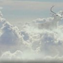 선녀와나무꾼 이미지