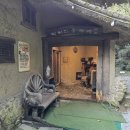 박터진 흥부네 이미지