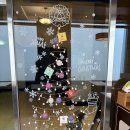 디어멍멍 | 강화 애견동반카페 라르고빌 방문후기🙄🙄