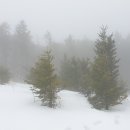 신산여관 이미지