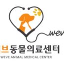 위브동물의료센터 이미지