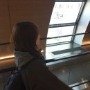 J-038 | [제주도] Day1~2 성산| 난산리식당, 프릳츠 제주, 안친오름 산책 코스 ✨