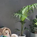 수로왕릉역 이미지