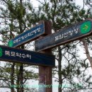 당고개역 북측 이미지