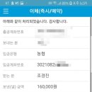 모살개 렌트하우스 이미지