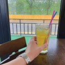필라츠 이미지