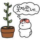플렌케 이미지