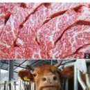 홍천한우 이미지