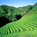 자연과사람들공인중개사사무소 이미지