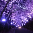 동림모텔 이미지