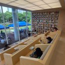 우이천변2(덕수교) | 지하철로 가는 수도권 수국명소 초안산 수국동산 방문기