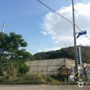 그린티하우스 티스토리