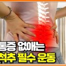 진통제도 소용없을 만큼 허리 통증 심하던 중년 여성도 싹 낫게 한 운동 이미지