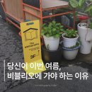 더비알 | 여름의 싱그러움을 지닌 곳, 어은동 독립서점 "더비블리오그라피" 방문후기