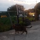 수망관광휴양펜션 이미지