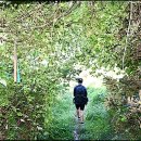 제주 올레길 6코스 이미지