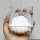 대전현대프리미엄아울렛 모찌 팝업스토어 모찌트리 솔직 후기