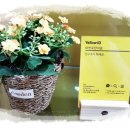 용산-이촌-1275 이미지