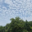 카페느티나무 - 산청군 동의보감로555번길 45-23 | [내돈내산] 원주 근교 드라이브, 충주 소태면 '느티나무카페' 후기