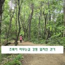 6월30일(화)초록이 머무는길 강동 일자산 걷기 이미지