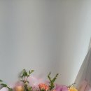 러블리플레르 이미지