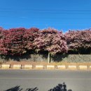 동백자동차공업사 이미지