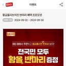 크리스피올리브 이미지
