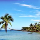 타히티 카카오 검색결과