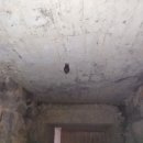 이교동일제군사시설 이미지