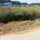 112-운정2-112 이미지