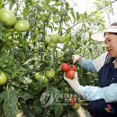 강금자농장 이미지