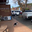 경주택시노동조합 | [In]경주_하나