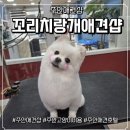 이쁘당개 애견샵 | 주안애견샵·주안고양이미용 전문! 20년 노하우 믿고 맡기는 곳 🐾인천 남구 도화동 꼬리치랑개애견샵 ✨