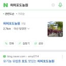 허허포도농원