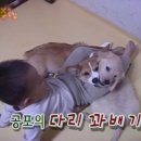원일꼬치