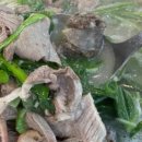 운중로138번길 이미지