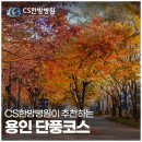 호암한방병원 네이버블로그
