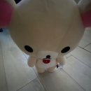 스테이오늘 이미지