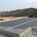 소나무 태양광발전소 이미지