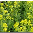 광무농장 이미지