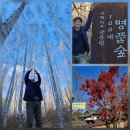 약나무마실 | 웰니스 여행 경북 영양 가볼만한곳 | 자작나무숲 석계고택 장계향