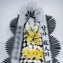 장례식장 - 은평구 통일로88길 21-2 | 장례식장