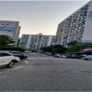 신사동-26 이미지