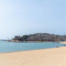 육회한판 이미지