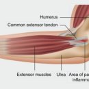 역삼-1466 이미지