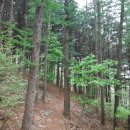 월암회관 이미지