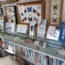 최은희소아과의원 이미지