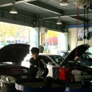 보쉬카센타 이미지